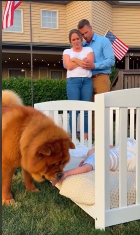 «Щенок, который вернул моего сына к жизни»